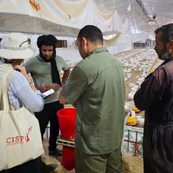 Intervento multisettoriale a sostegno all’educazione inclusi ... Immagine 6