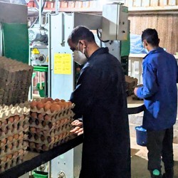 Inclusive Education, Hygiene, and Food Security Image 8