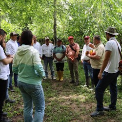 Agrocadenas Immagine 1