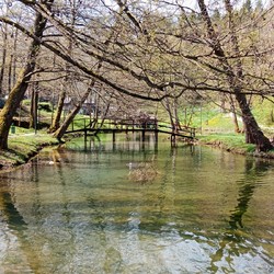 Via Delle Cascate Image 10
