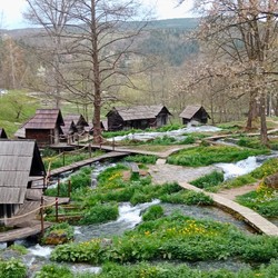 Via Delle Cascate Image 6