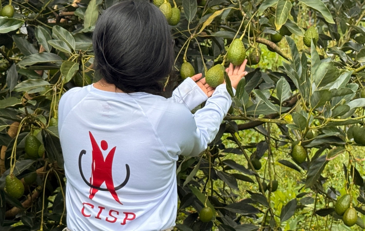 CISP en Colombia: la identidad territorial como motor de la reforma agraria