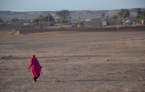 Malnutrition emergency in Sahrawi Camps; 75% reduction in food rations