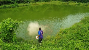 Development of fish farming with the cooperative of former combatants of the FARC-EP
